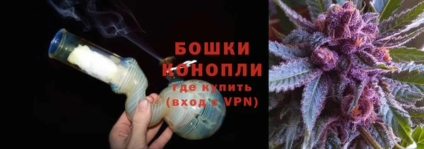 трава Новозыбков
