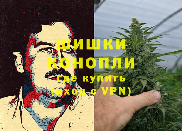 трава Новозыбков