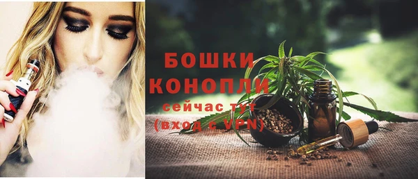 трава Новозыбков