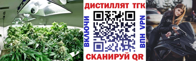 купить  сайты  Чулым  Дистиллят ТГК Wax 