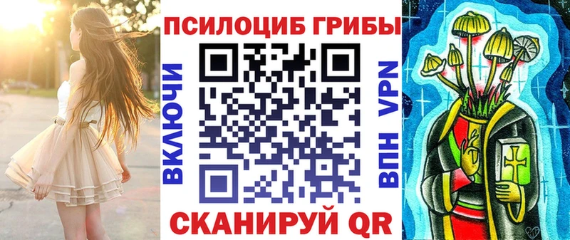 сколько стоит  Чулым  Псилоцибиновые грибы мицелий 